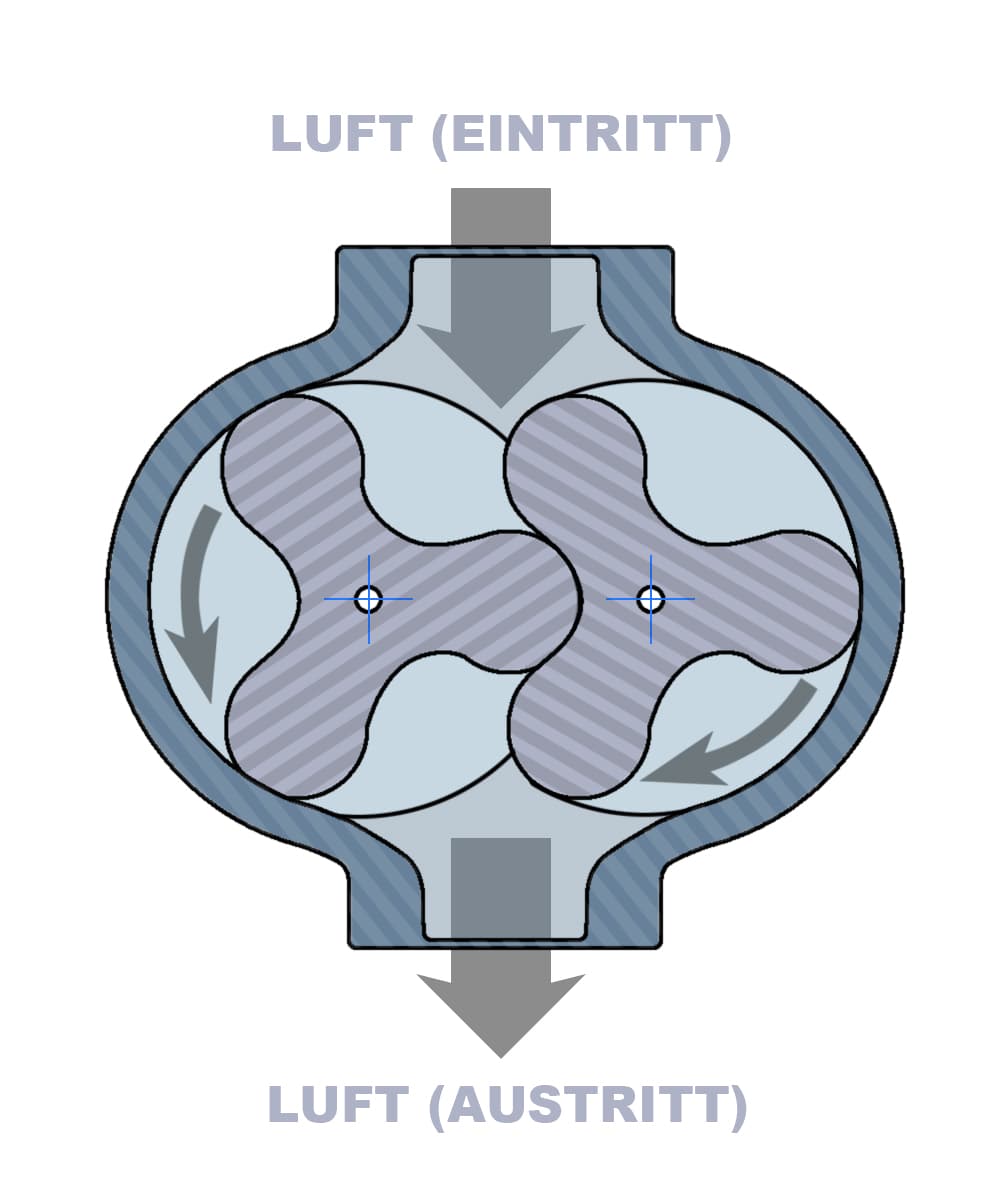 Cutaway diagram of a positive displacement (Roots-type) blower showing air flow